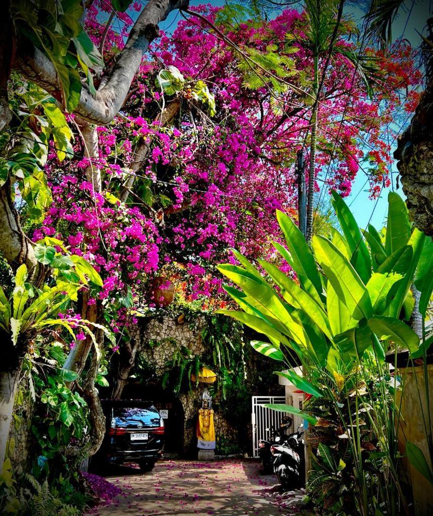 Exquisite Private Villa — Villa Sekala, Sanur, Se Bali Ngoại thất bức ảnh
